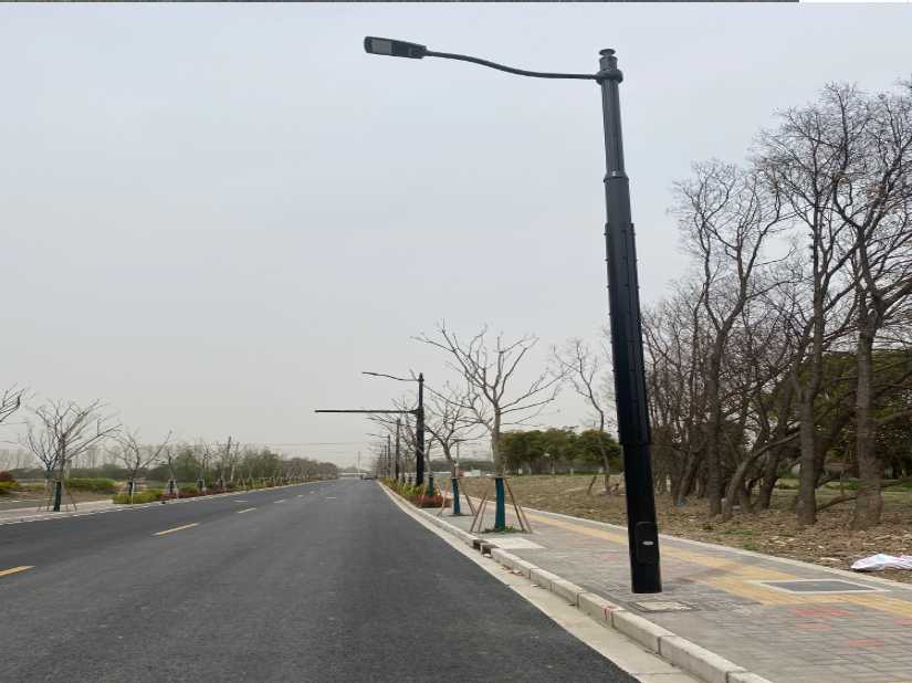 衡阳县上海综合杆 太阳能路灯工程